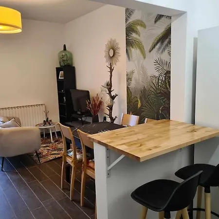 L'oasis Fleuri Apartment Bourg-de-Peage